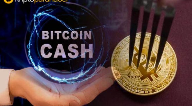 Bitcoin Cash fiyat analizi: BCH için detaylı teknik görünüm
