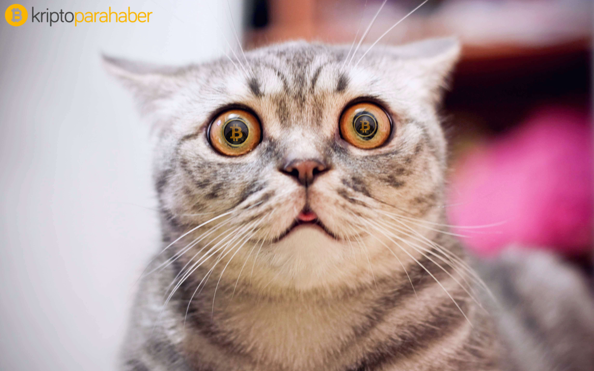 Ethereum tabanlı altcoin’de inanılmaz artış!