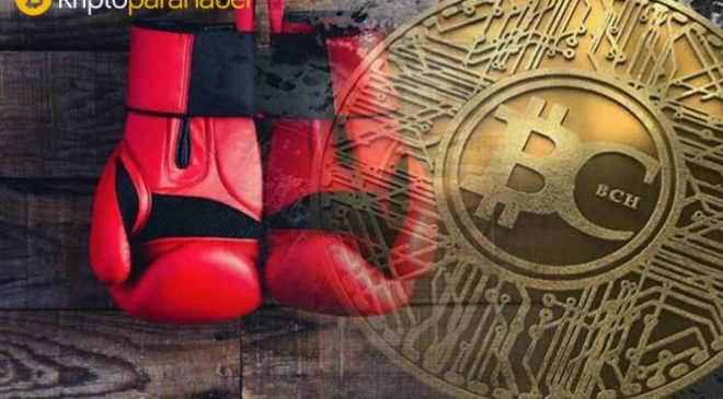 Bitcoin Cash (BCH) hayatta kalma mücadelesi veriyor