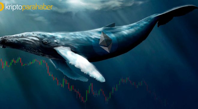 Bitcoin balinaları 1.5 milyar dolarlık BTC taşıdı – neler oluyor?