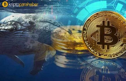 Bitcoin, Ethereum, Ripple  ve Tether balinalarından dikkat çeken hareketlenmeler