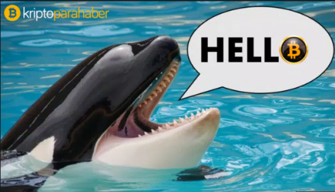 5 büyük balina hareketi: 1 milyar XRP ile Ripple balinası zirvede