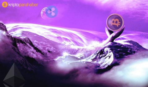 Flaş kripto para haberleri: Bitcoin ve Ethereum balinaları harekette, Ripple ve TRON yeni bir borsada ve daha fazlası…