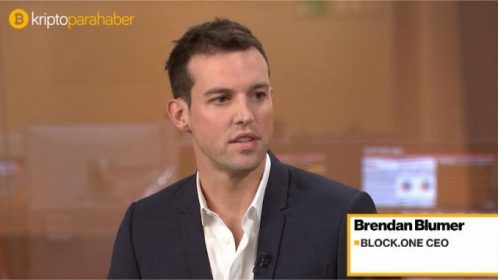 Kripto piyasası büyümekle kalmıyor çiçek açıyor: Bu rapora göre yakında fiyatlar da artabilir