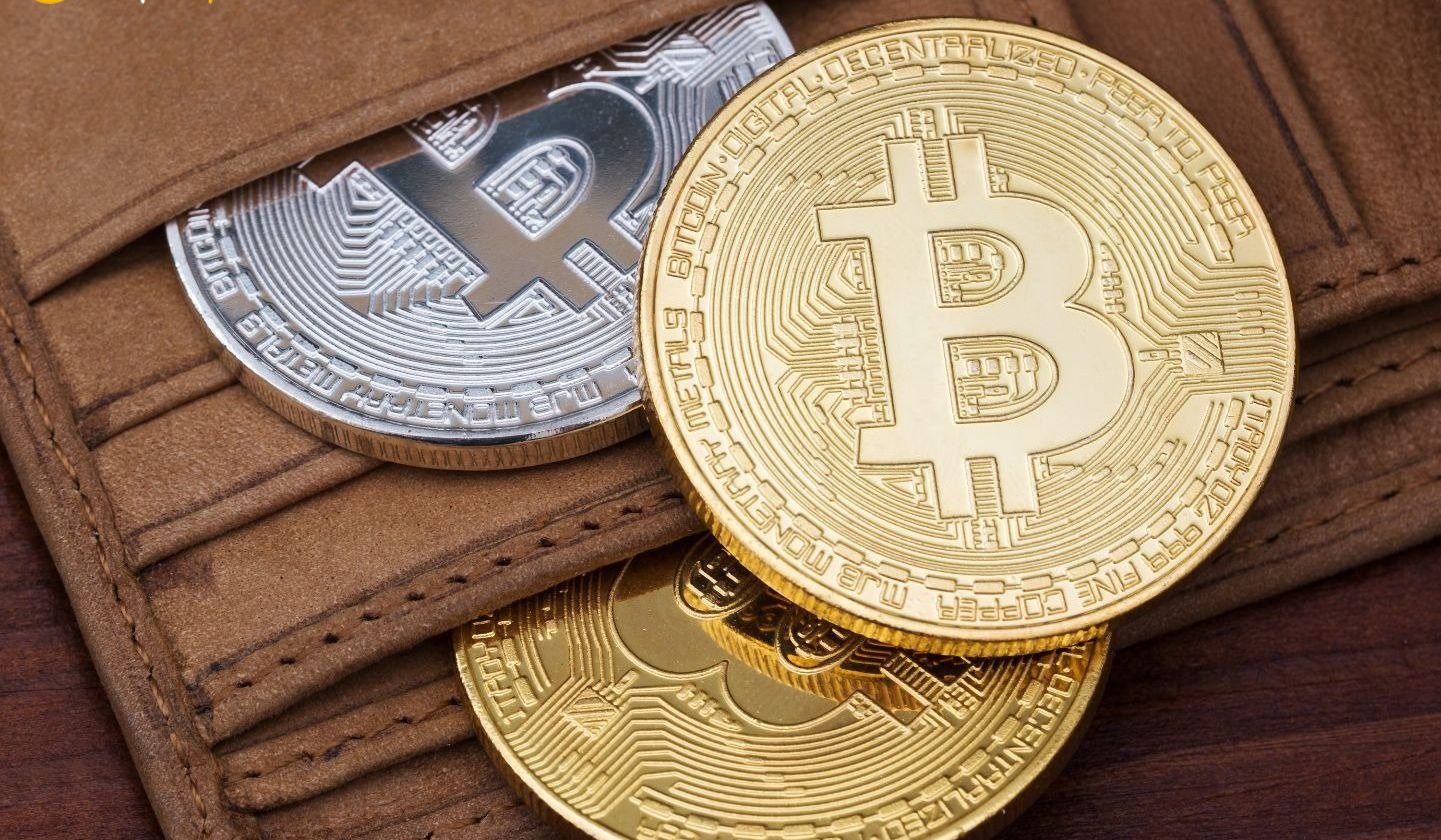 Bitcoin (BTC) tutan adreslerin dağılımı