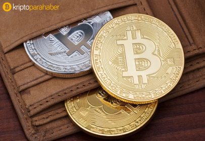 Bitcoin (BTC) tutan adreslerin detayı açıklandı: Bakın balinalar ne kadar BTC tutuyor