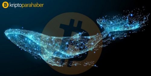 Güncel kripto haberleri: Kripto Balinalarının 92 Milyon Dolarlık Hareketi, Twitter’da botların Ripple saldırıları, QuadrigaCX borsasında yeni bir fiyasko