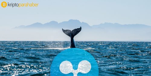 Ripple balinası 4 saniyede 755 milyon dolarlık XRP’yi poşet parasından az masrafla transfer etti
