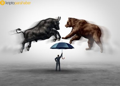 Uzun bir ayı piyasasında ağın büyümesi nasıl mümkün olabilir? Stellar Lumens gösteriyor