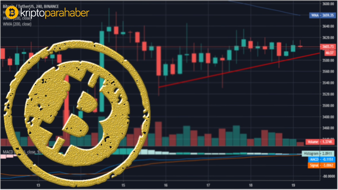 19 ocak bitcoin