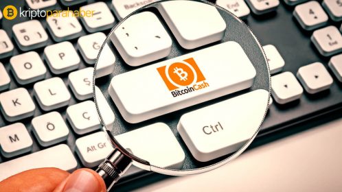 Herkes Bitcoin’den söz ederken ünlü internet girişimcisi bu altcoin’e işaret etti! “9 kat artacak”
