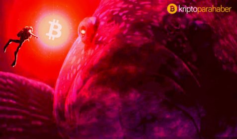 Kripto balinaları: Bitcoin, Ethereum ve XRP, 523 Milyon dolar hareket etti