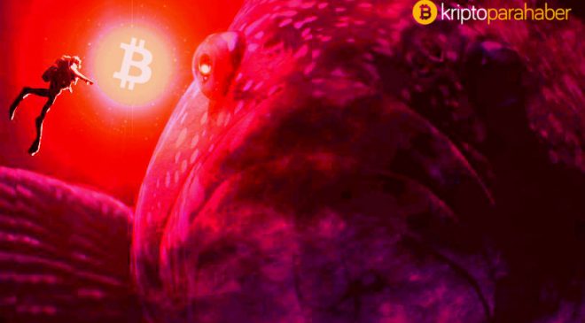 Sıcak Gelişme: Kripto tarihindeki en büyük Bitcoin transferinden biri gerçekleşti!