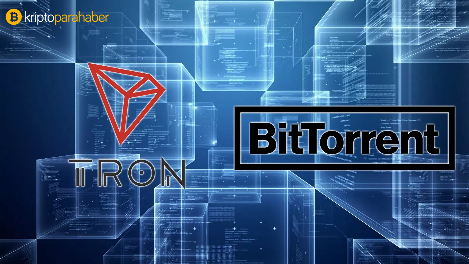 BitTorrent benimsenmesi:  BTT üç teşvik programı açıkladı