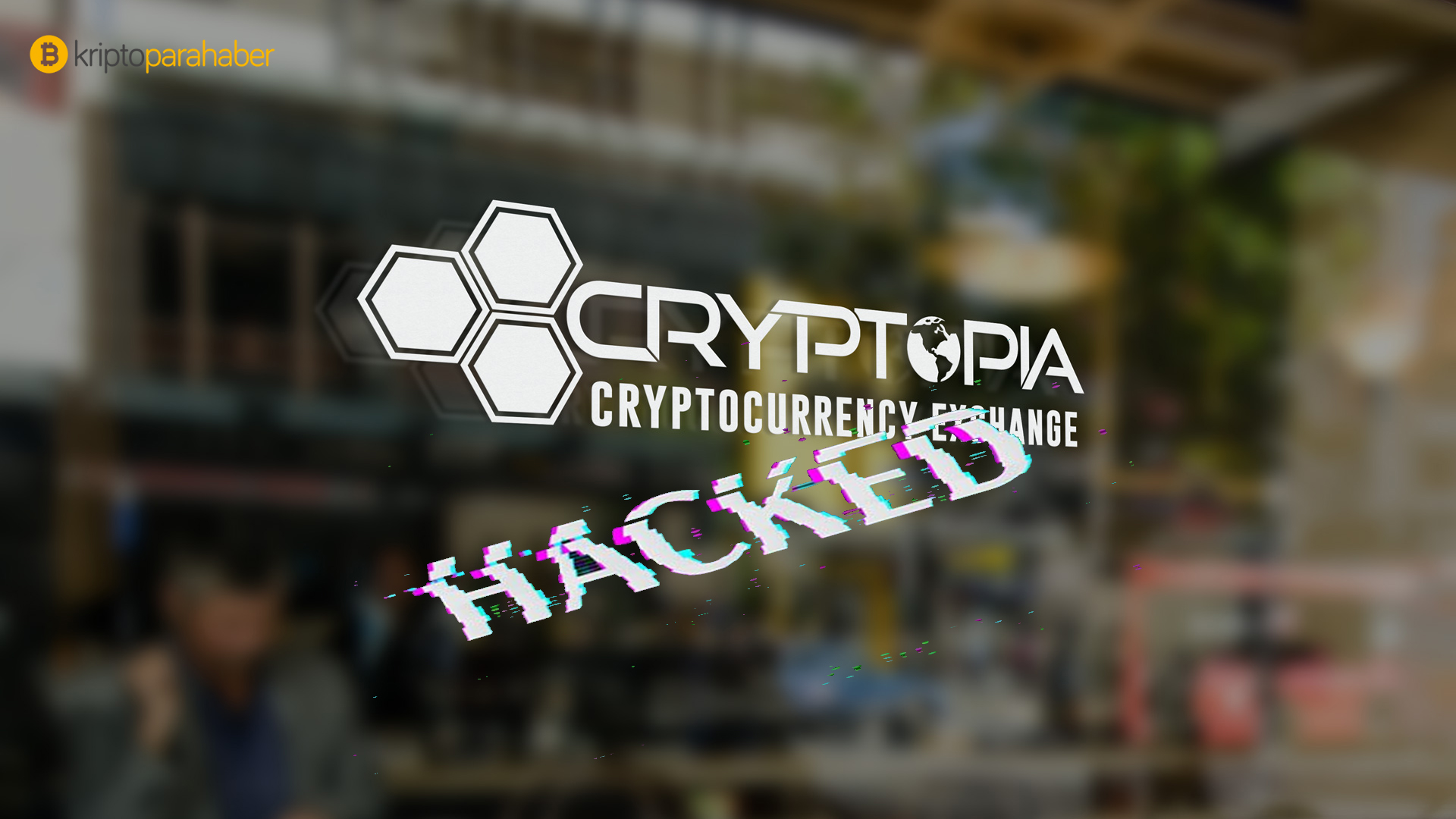 cryptopia