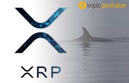 Korkutucu senaryo: Ripple balinaları fiyatı daha fazla düşürebilir