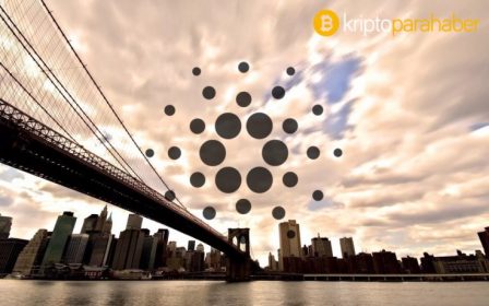 İşte son dönemde Bitcoin ile birlikte piyasa lider olan kripto para!