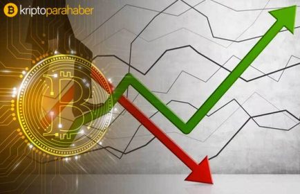 Herkes yükselişi işaret ederken o uyardı: “Bitcoin 7.000 dolara düşebilir!”
