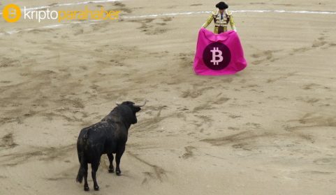 Top 4 kripto paraya genel bakış: Boğalar son hamlesinden sonra duraklıyor