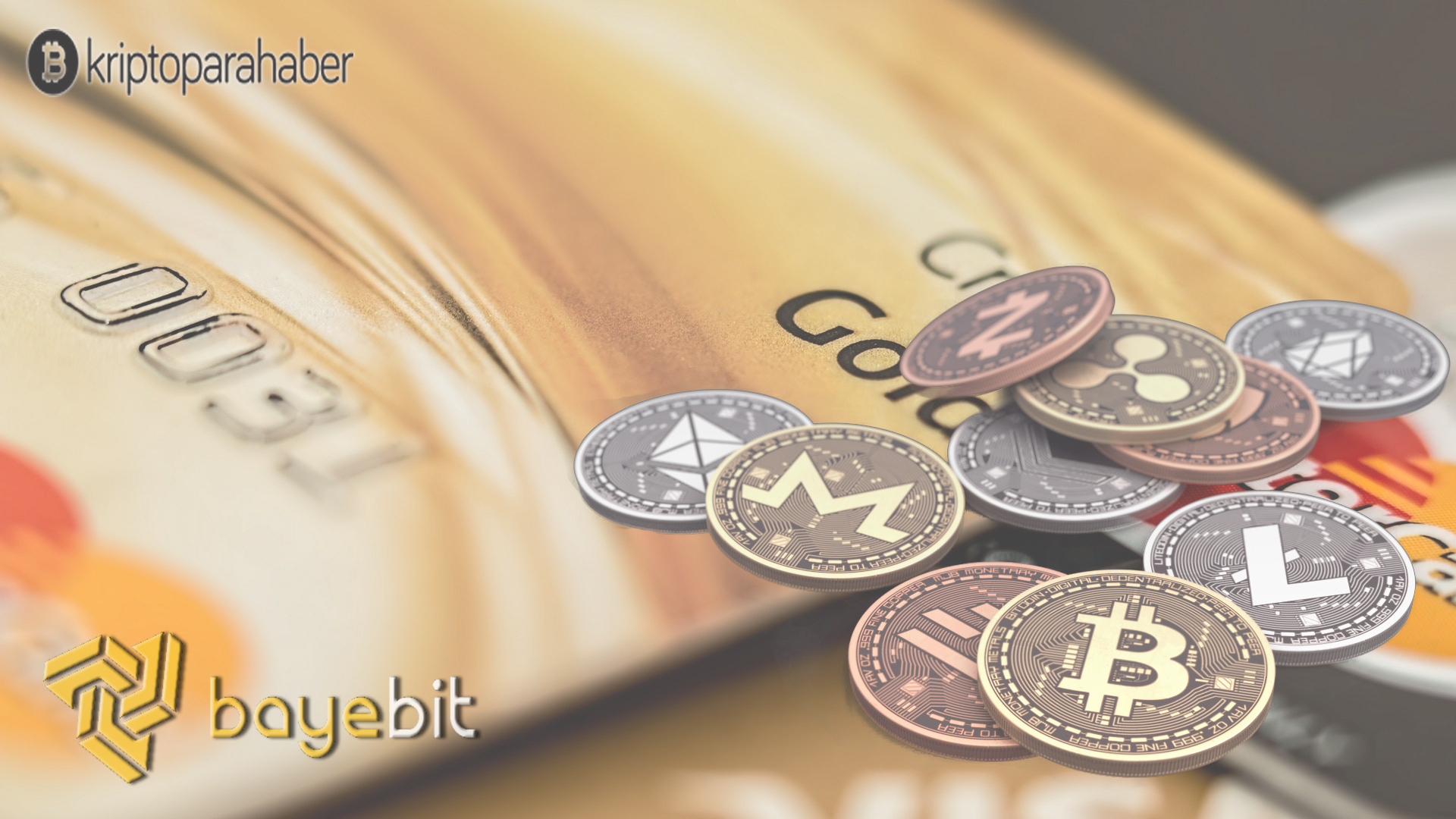 bayebit türk borsası