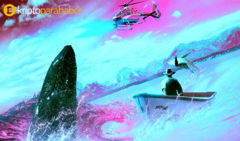 NEO topluluğu endişeli: NEO’nun neredeyse yarısı olan 326 milyon dolar değerinde kripto para harekete geçti