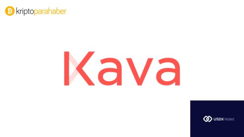 USDX: XRP destekli stabil coin geliştiricileri tarafından doğrulandı