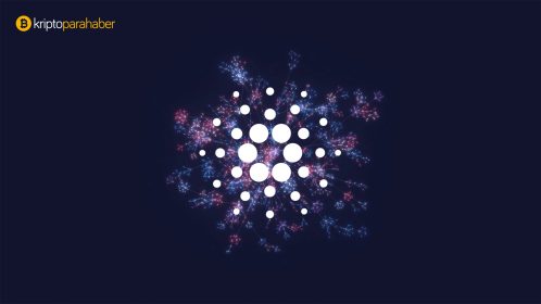 Şu anda Cardano’da muazzam miktarda etkinlik var: Charles Hoskinson