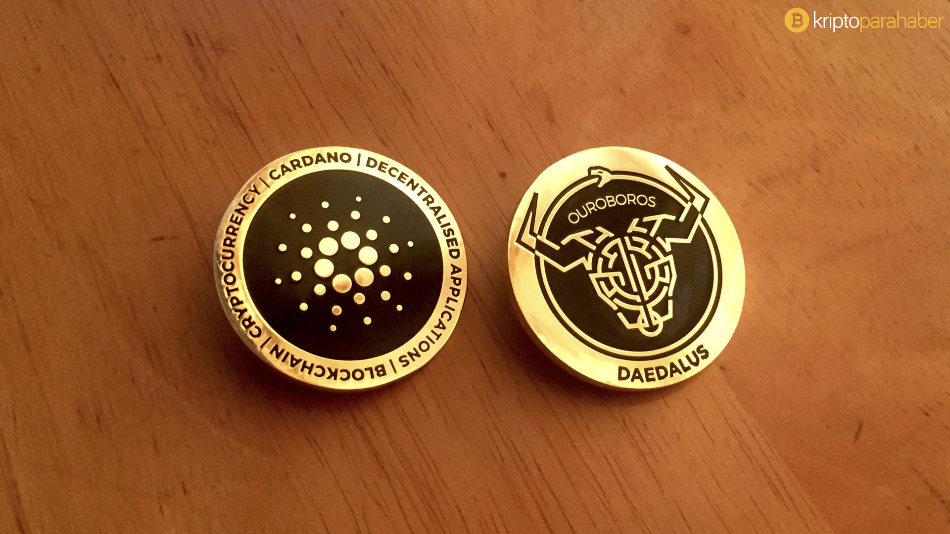 Cardano (ADA) yakında NFT piyasalarını destekleyebilir: Charles Hoskinson