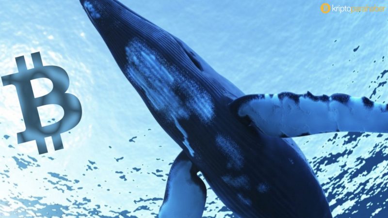 İki farklı Bitcoin balinasında işlem hacmi 1,2 milyar doları aştı