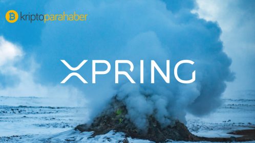 Ripple Xpring, XRP’yi internetin parası yapmak istiyor
