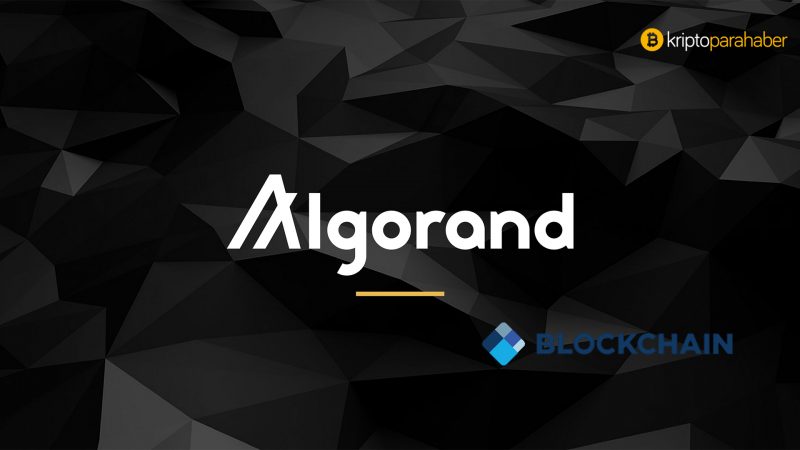 algorand