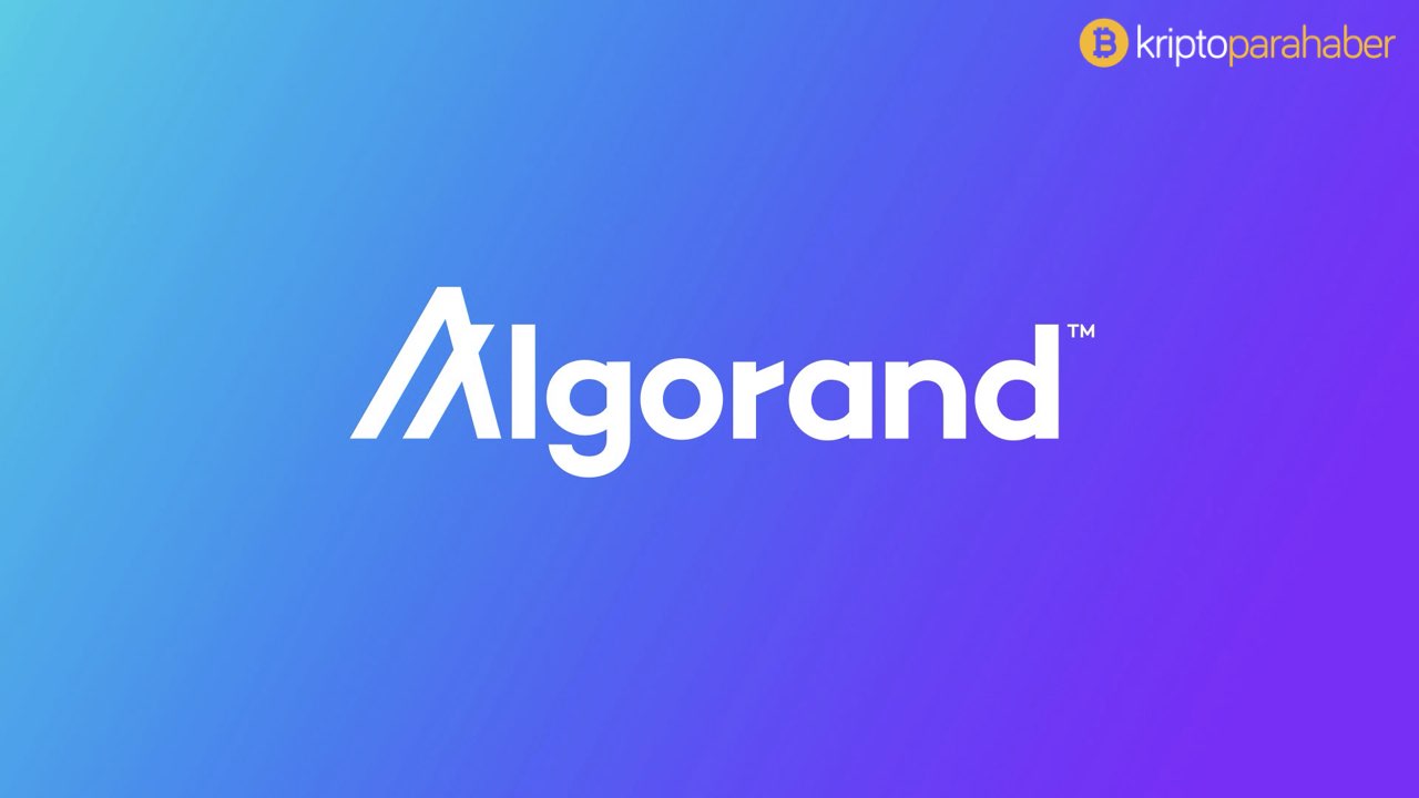 Algorand (ALGO) DeFi alanında ilerlemek için Curv ile ortaklık kuruyor
