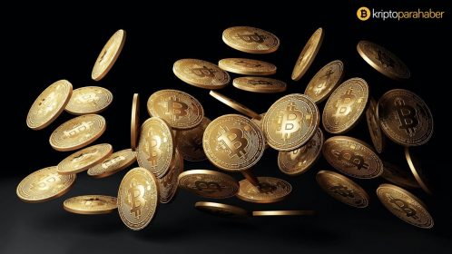 Bitcoin boğası Tim Draper portföyündeki altcoin’leri açıkladı
