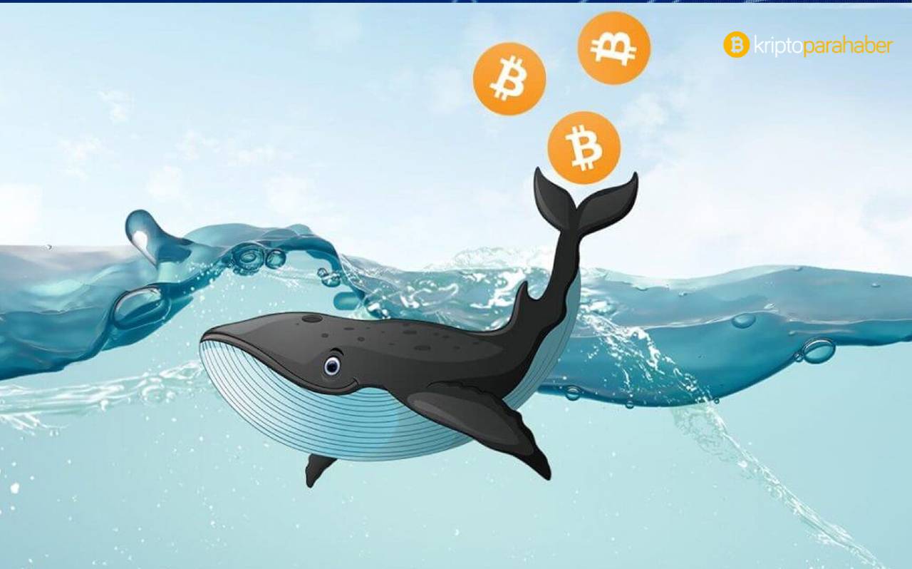 Bitcoin balinası hareketlendi: 104 milyon dolar “komik” bir ücrete taşındı!