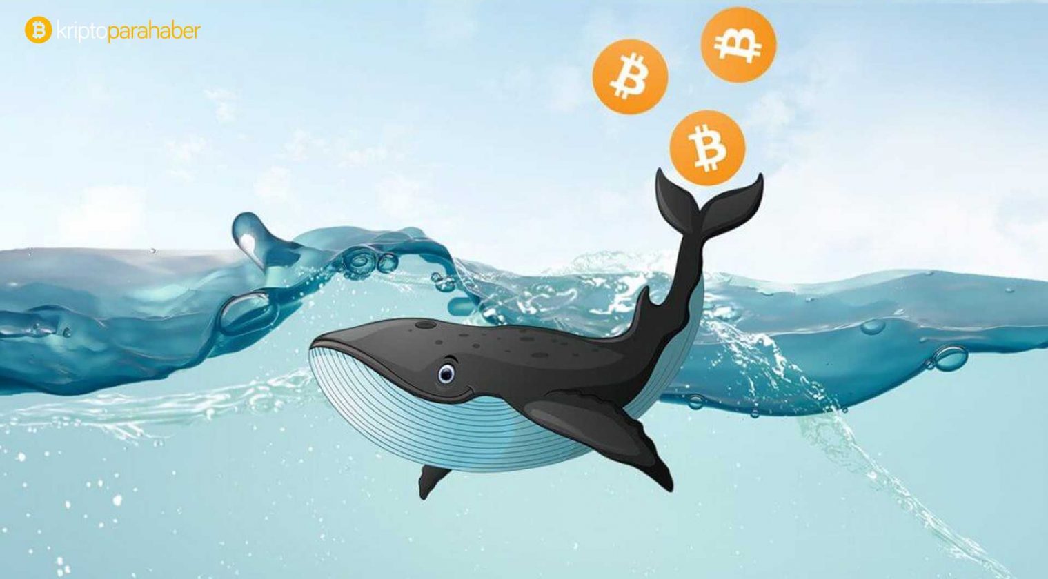 Bitcoin balinalarının azalması kötüye mi işaret ediyor?