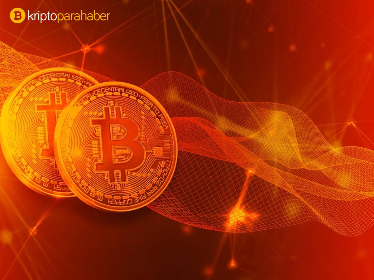 Letonya kripto para birimi sahtekarlığı konusunda halkı uyardı