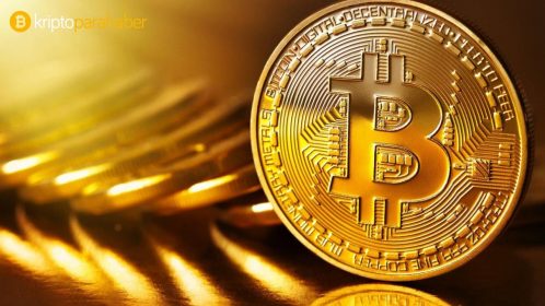 Kripto komisyonculuğu Bitit, Bitcoin boğa koşusu ortasında kapanıyor