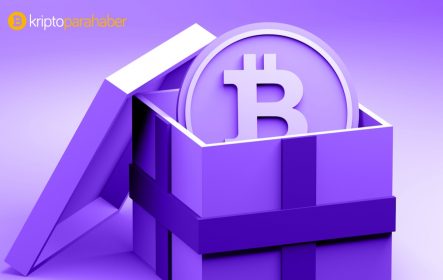 “Zengin baba, yoksul baba”nın yazarı: Bitcoin’i kucaklayan Elon Musk’ı seviyorum