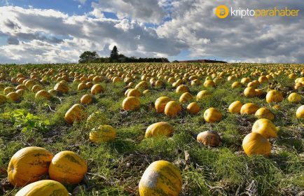 DeFi platformu APY Finance 1 saatte devasa fonu kilitledi