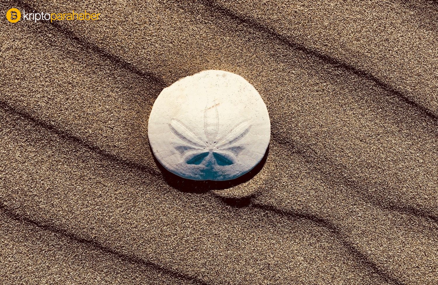 Island pay. Sand Dollar Bahamas цифровая валюта. Sand Dollar криптовалюта Багамские. Песчаный доллар. Sand Dollar цифровая валюта.