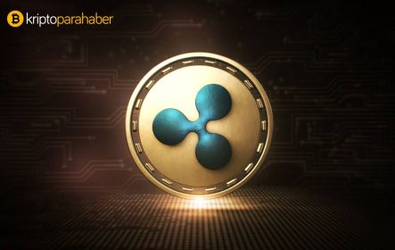 Ripple CTO’su David Schwartz, XRP’nin önündeki engelleri açıkladı