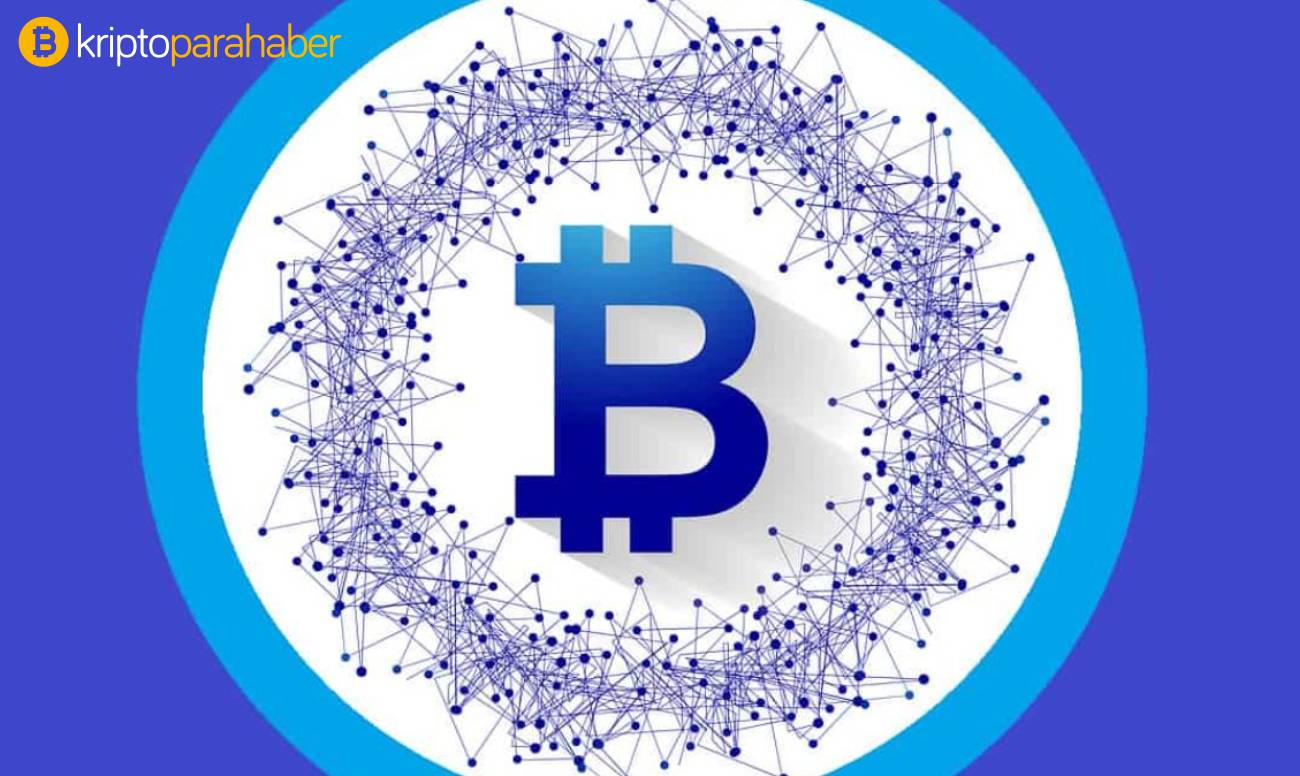 Ünlü yönetici Bitcoin'e yöneltilen eleştirilere cevap verdi