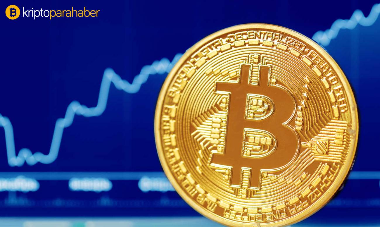 Bitcoin balinaları BTC'yi giderek merkezi hale mi getiriyor?