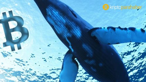 Bitcoin balinası milyon dolarları taşıdı – dump mı geliyor?