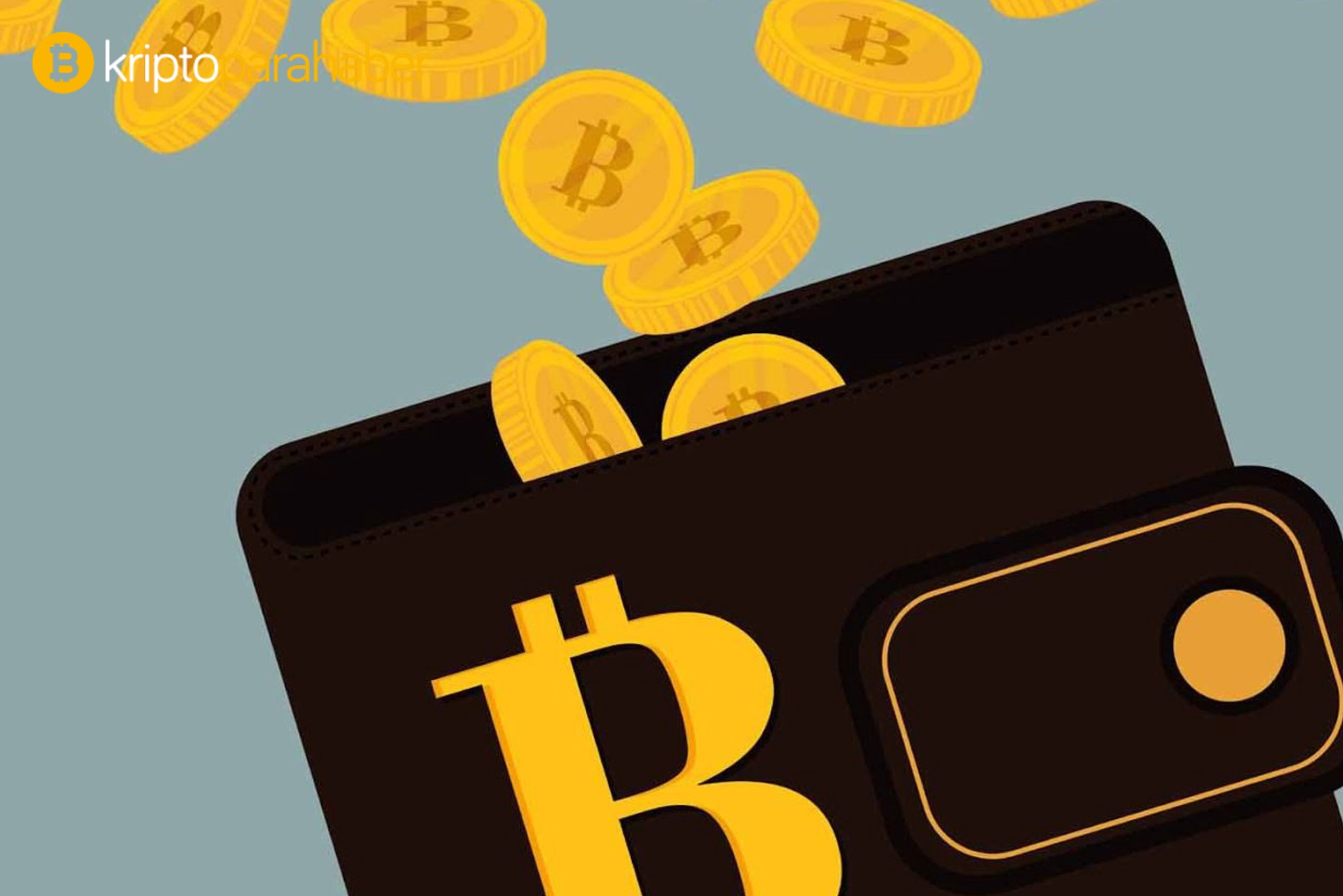 Bitcoin rallisinin arkasında bu gelişme mi var?