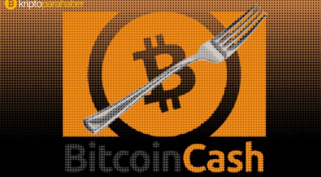 Bitcoin Cash ve VeChain fiyat analizi: BCH ve VET için teknik göstergeler ne söylüyor?
