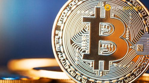 Borsalarda tutulan BTC sayısı 12 ayda Yüzde 20 düştü