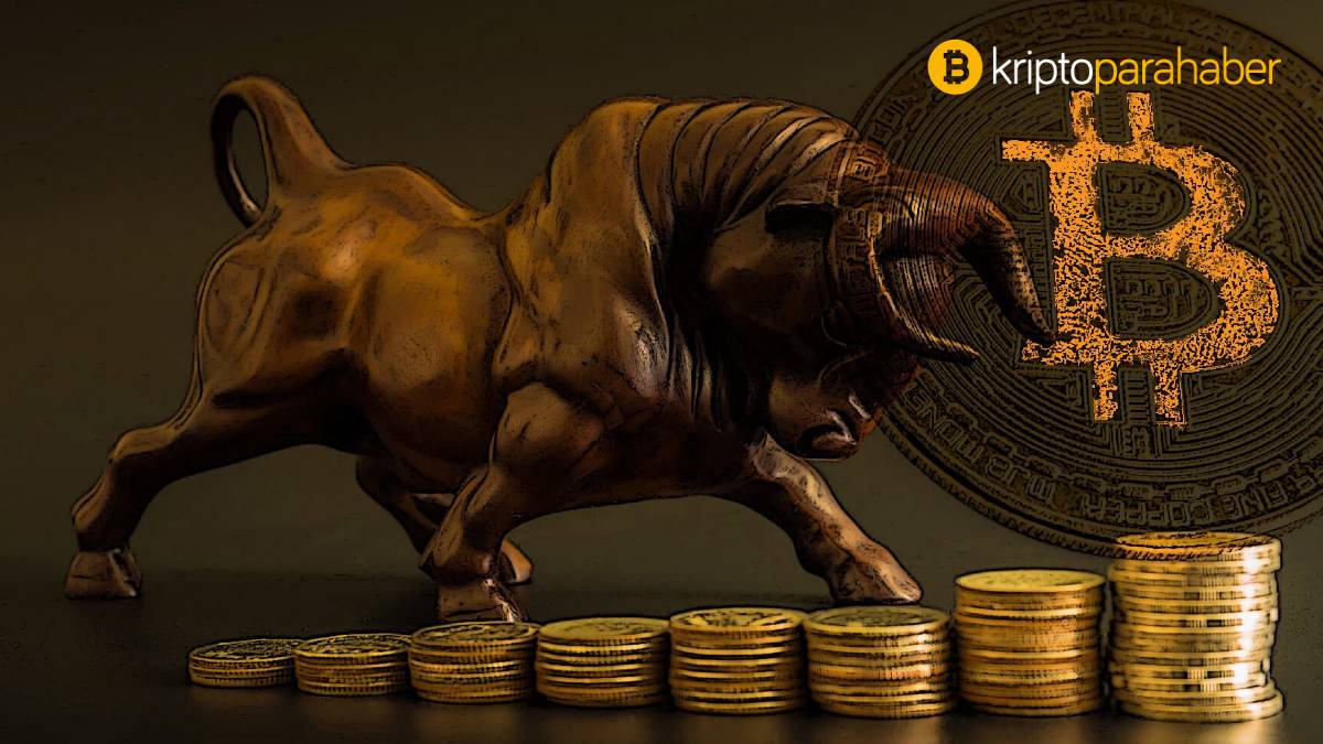 Bitcoin rallisi nereye gidiyor? Bir analiste göre 