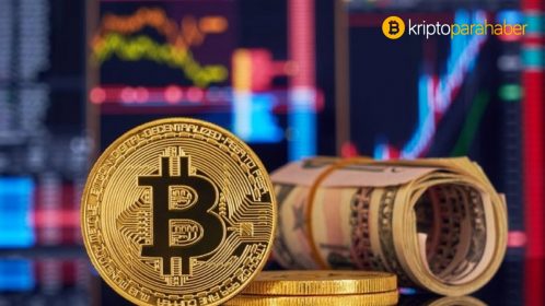 Kripto para piyasasındaki son 24 saatlik coşku yeni seviyeleri işaretledi