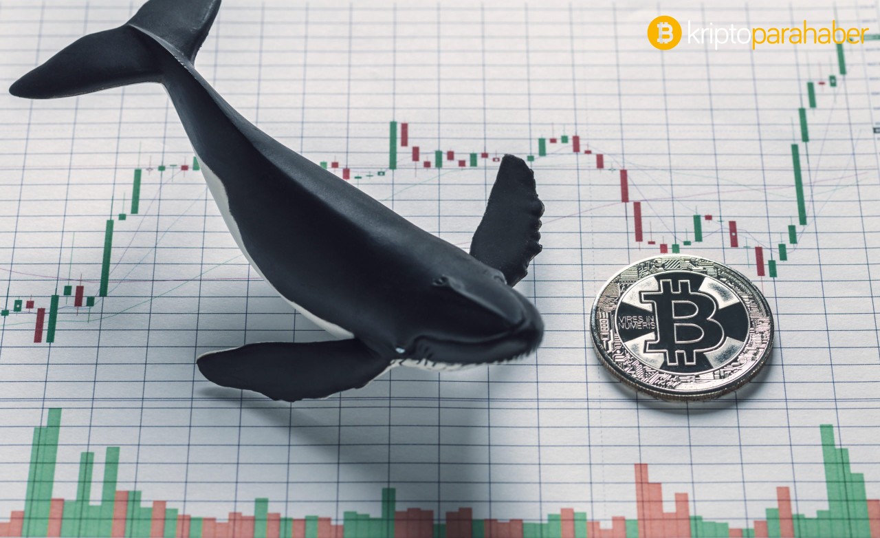 Bitcoin balinaları hareketlendi – Coinbase’den çekilen bu miktar heyecanlandırdı